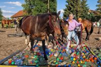Czytaj więcej: Akcja Habituacja