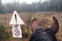 Czytaj więcej: Rajd po Puszczy Augustowskiej
