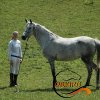 Zawody Towarzyskie w skokach - Pomorska Wieś