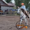 SOBuTKA 2024