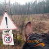 Rajd po Puszczy Augustowskiej